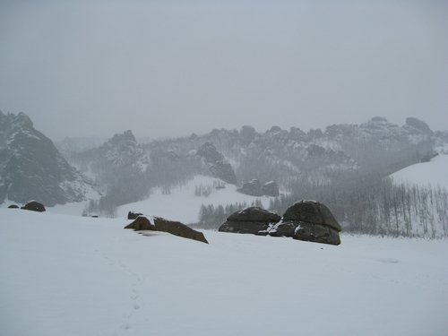 IMG_4393.JPG
