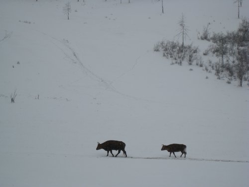 IMG_4395.JPG