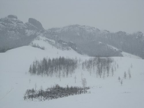 IMG_4402.JPG