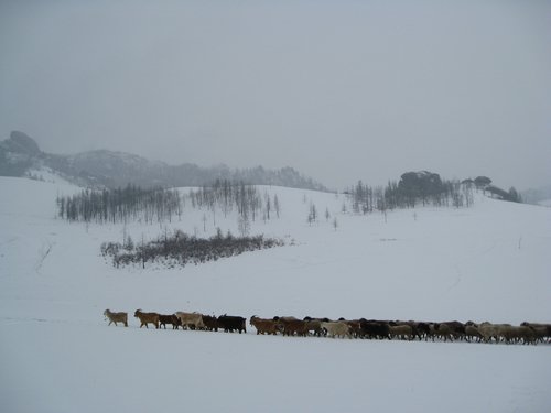 IMG_4417.JPG
