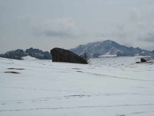 IMG_4421.JPG