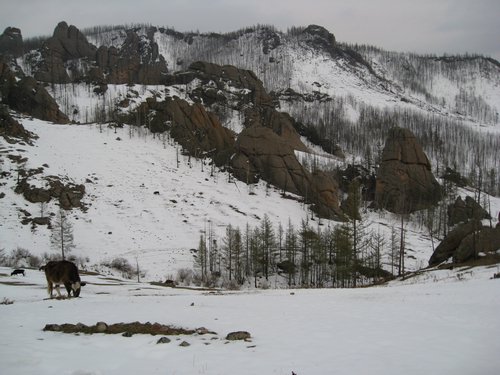 IMG_4436.JPG