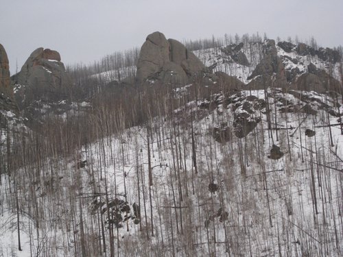 IMG_4438.JPG