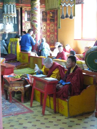 IMG_4460.JPG