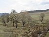 IMG_4380.JPG