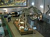 IMG_4384.JPG