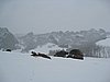 IMG_4393.JPG