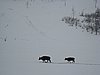 IMG_4395.JPG