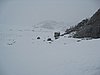 IMG_4398.JPG