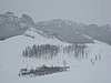 IMG_4402.JPG