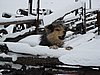 IMG_4408.JPG