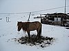 IMG_4409.JPG
