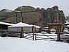 IMG_4410.JPG