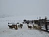 IMG_4413.JPG