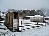 IMG_4414.JPG
