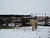 IMG_4415.JPG
