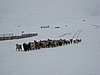 IMG_4416.JPG