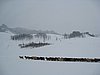 IMG_4417.JPG