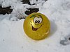 IMG_4424.JPG