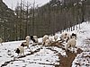 IMG_4433.JPG