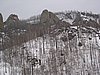 IMG_4438.JPG