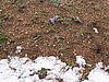 IMG_4442.JPG