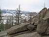 IMG_4445.JPG