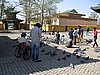 IMG_4458.JPG
