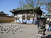 IMG_4459.JPG