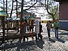IMG_4461.JPG