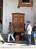 IMG_4464.JPG