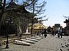 IMG_4471.JPG