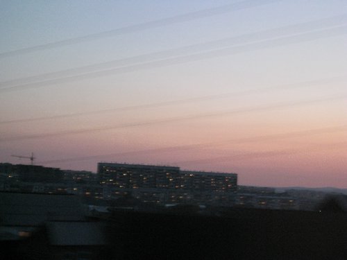 IMG_4525.JPG