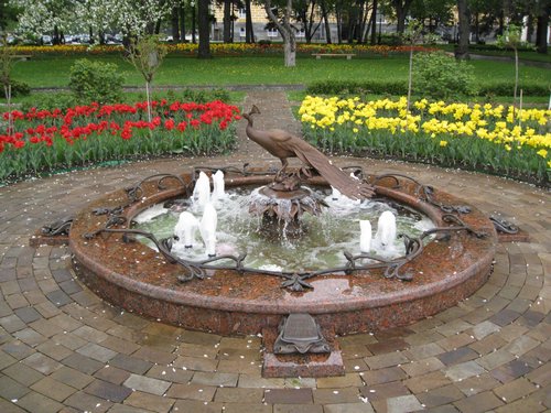 IMG_4605.JPG