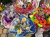 IMG_4563.JPG