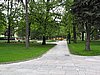IMG_4595.JPG