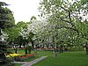 IMG_4604.JPG