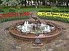 IMG_4605.JPG