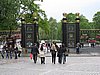IMG_4630.JPG