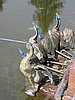 IMG_4691.JPG