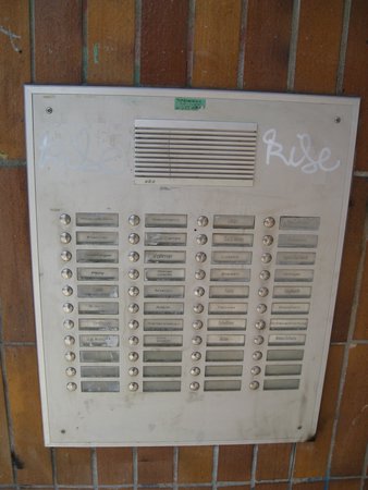 IMG_3134.JPG