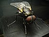 IMG_3229.JPG