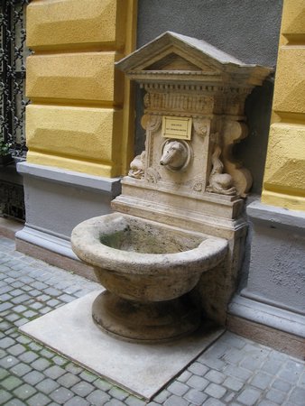 IMG_3701.JPG