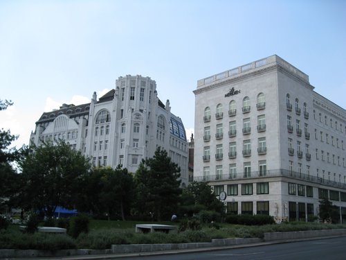IMG_3706.JPG