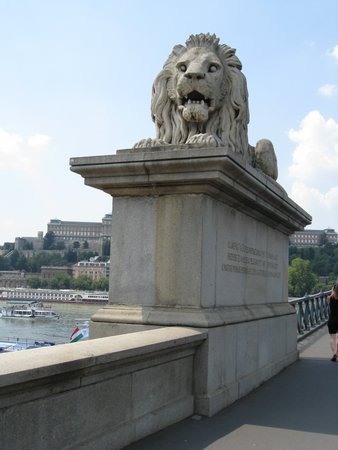 IMG_3718.JPG