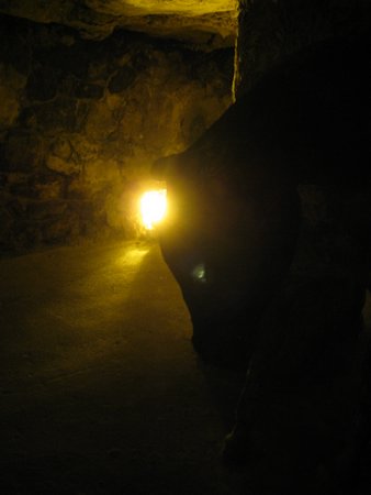 IMG_3772.JPG
