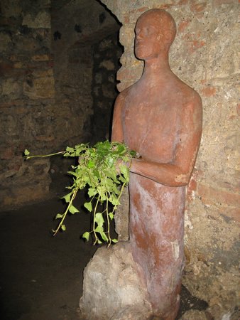 IMG_3780.JPG