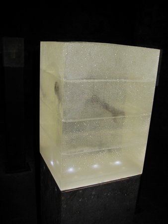 IMG_3782.JPG