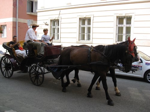IMG_3801.JPG