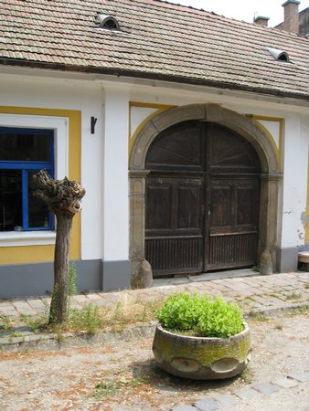 IMG_3951.JPG